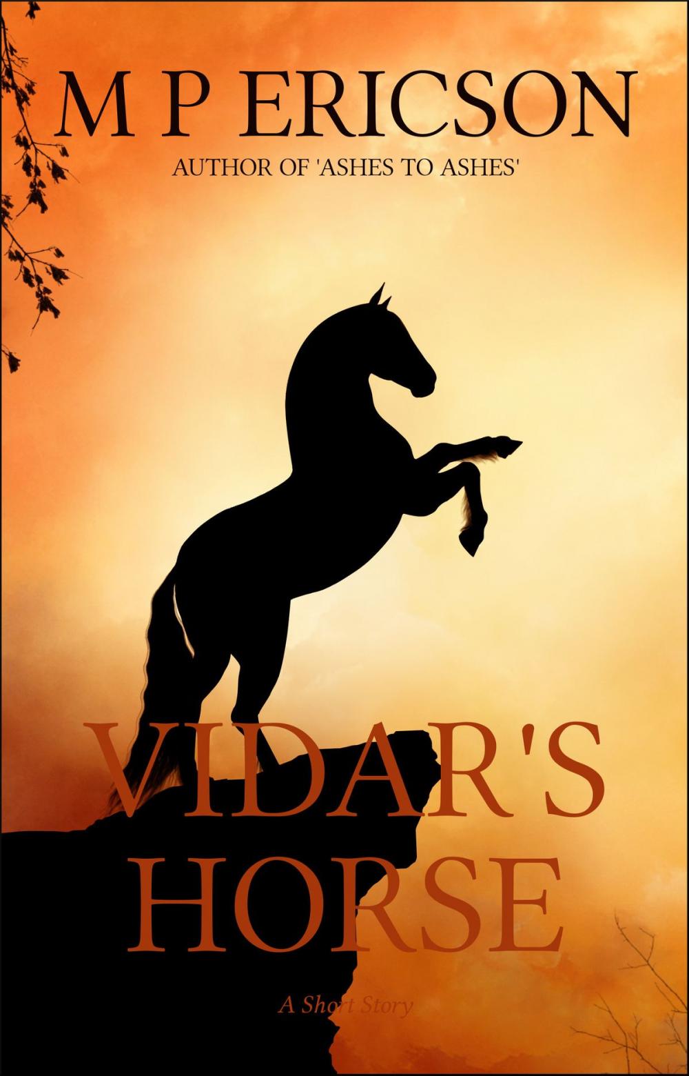 Big bigCover of Vidar's Horse