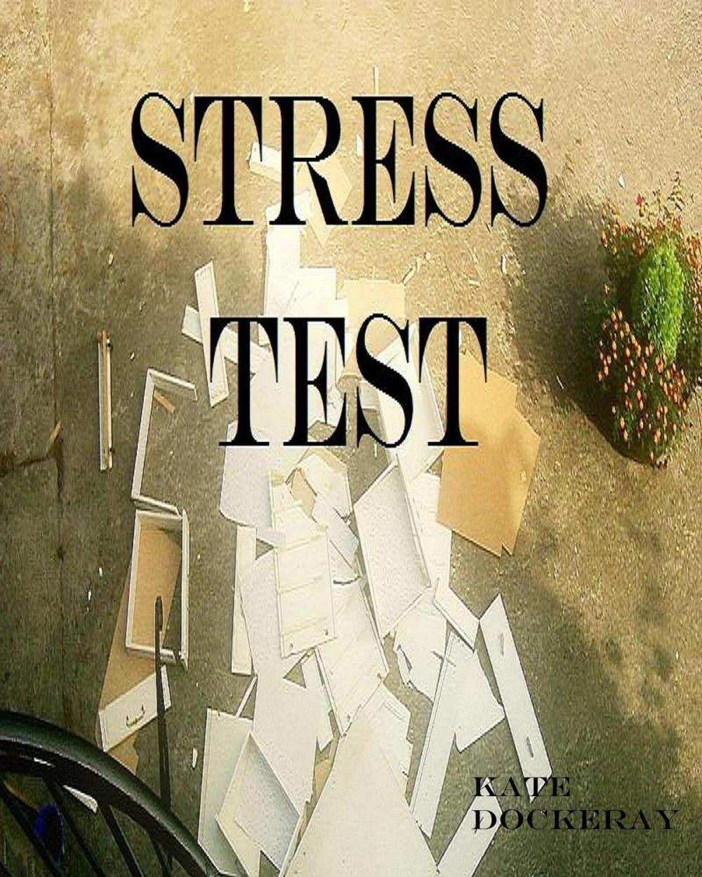 Big bigCover of Stress Test