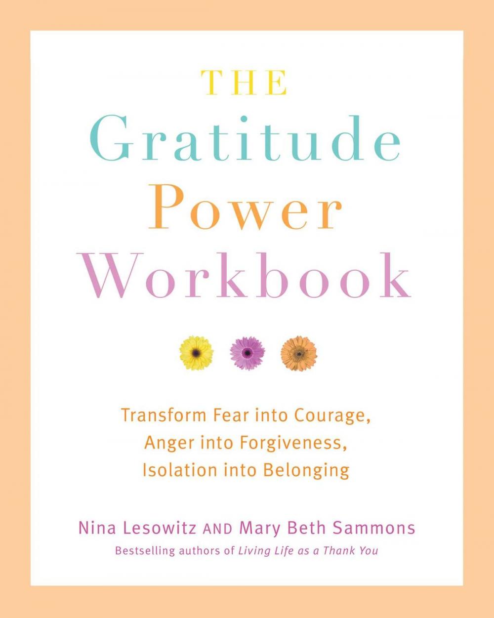 Big bigCover of The Gratitude Power Workbook