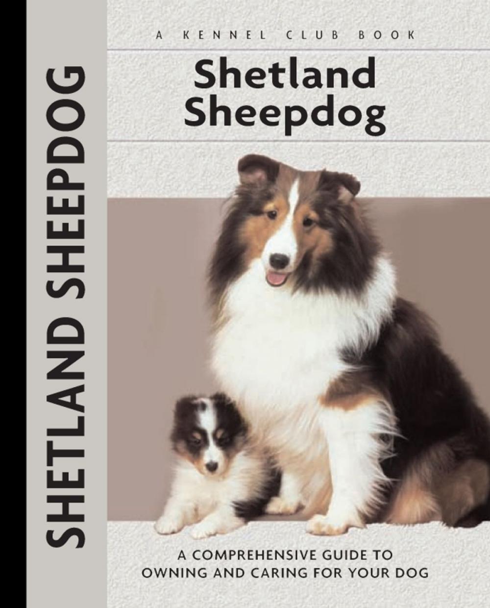 Big bigCover of Shetland Sheepdog