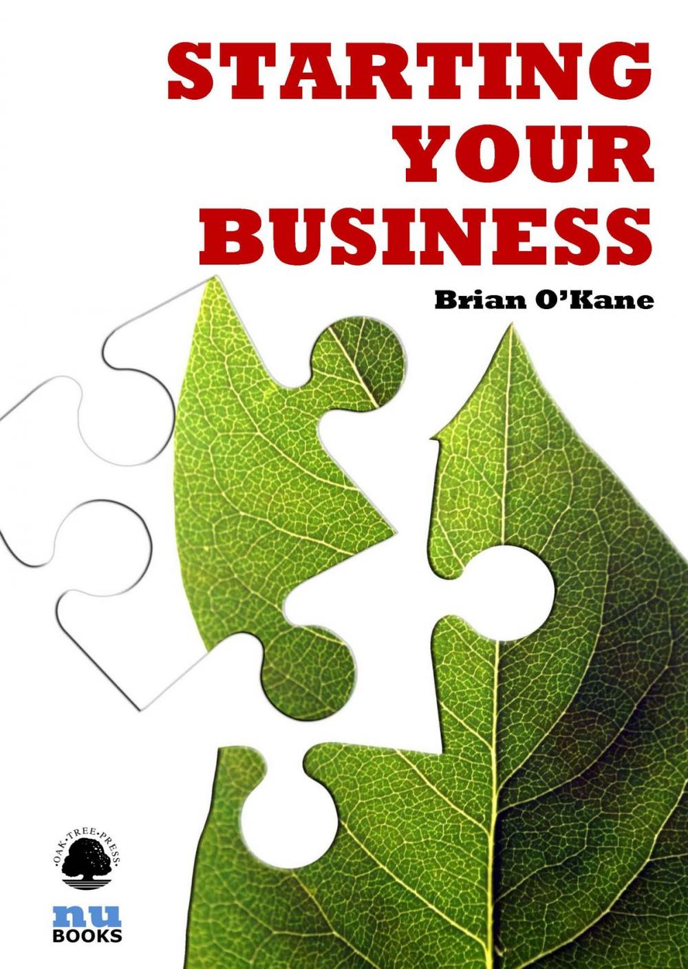 Big bigCover of Starting Your Business
