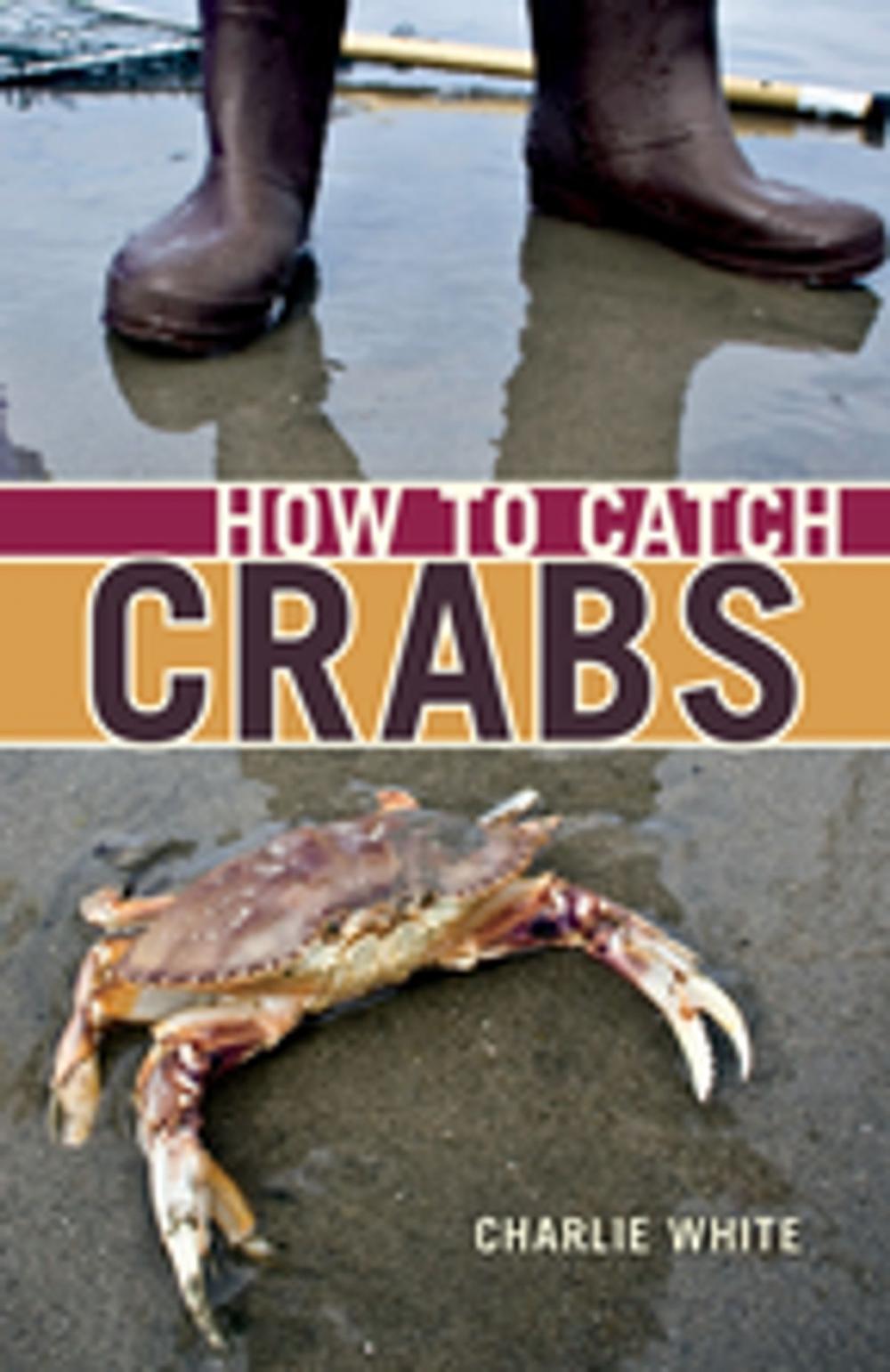 Big bigCover of How to Catch Crabs