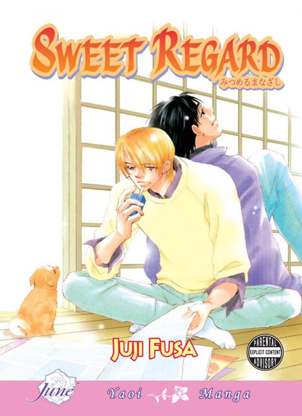 Big bigCover of Sweet Regard (Yaoi Manga)