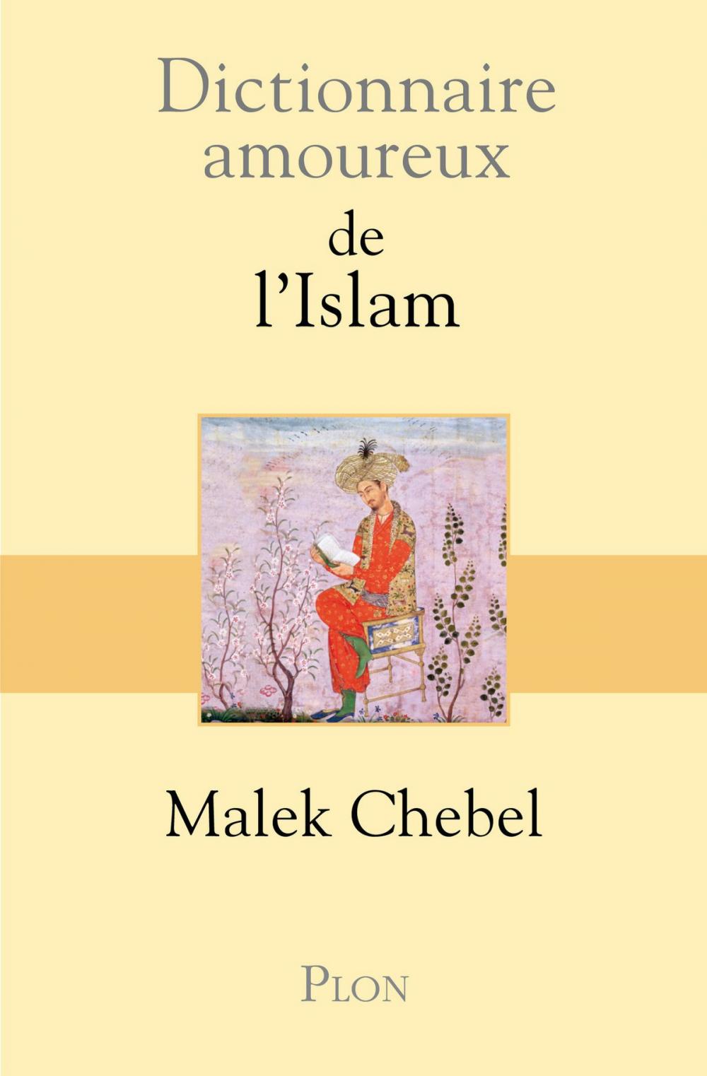 Big bigCover of Dictionnaire amoureux de l'Islam
