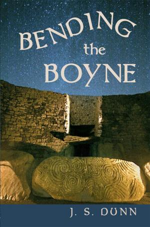 Book cover of Bending The Boyne
