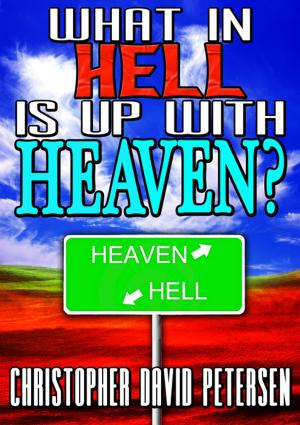Book cover of What in Hell is up with Heaven?