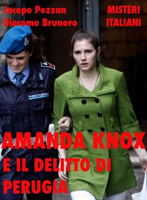 Book cover of Amanda Knox e il delitto di Perugia