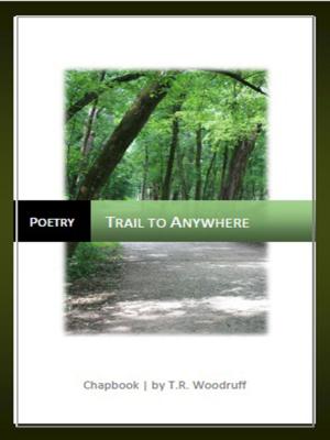 Cover of the book Trail to Anywhere by Emily Kurtyan