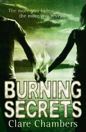 Cover of the book Burning Secrets by Robert Low