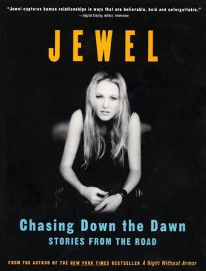 Cover of the book Chasing Down the Dawn by Anita Notaro