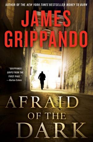 Cover of the book Afraid of the Dark by Christie Ridgway