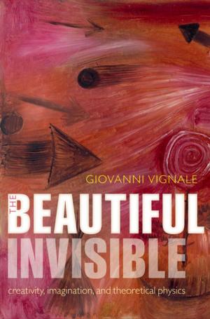 Cover of the book The Beautiful Invisible by Seth Lazar