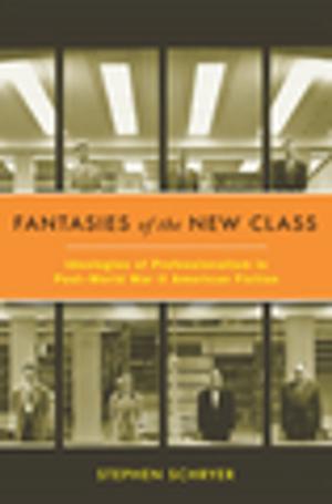 Cover of the book Fantasies of the New Class by Donald Niewyk, Francis Nicosia