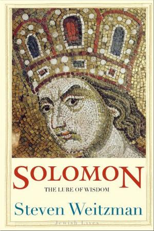 Cover of the book Solomon: The Lure of Wisdom by James Barilla