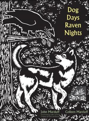 Cover of the book Dog Days, Raven Nights by Brendon Larson