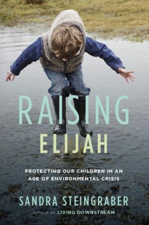 Cover of the book Raising Elijah by Martin Gottfried
