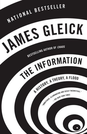 Book cover of The Information