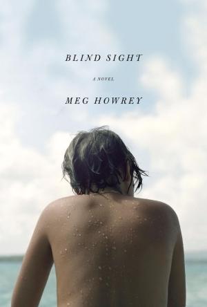 Cover of the book Blind Sight by Deborah Romare, Vincent J Wiley