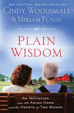Cover of the book Plain Wisdom by Ruth E. Van Reken, Barbara H. Knuckles