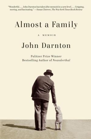Cover of the book Almost a Family by Dorothy Dunnett