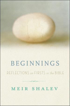 Cover of the book Beginnings by Lazar Puhalo