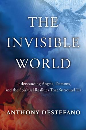 Cover of the book The Invisible World by Robin Jones Gunn