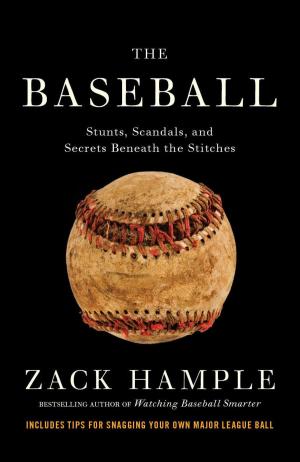 Cover of the book The Baseball by Karin Tidbeck