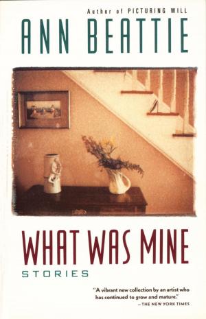 Cover of the book What Was Mine by John Banville