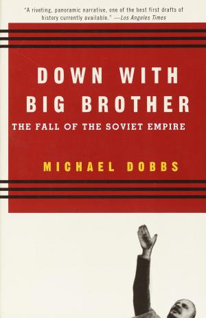Cover of the book Down with Big Brother by Guido Fabbri