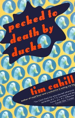 Cover of the book Pecked to Death by Ducks by David Grossman