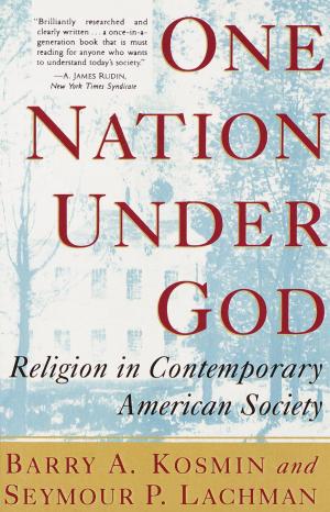 Cover of the book One Nation Under God by Luis A. Portillo