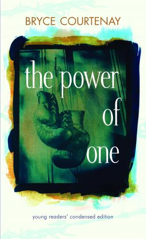 Cover of the book The Power of One by Melissa Lagonegro