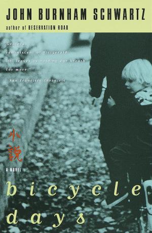 Cover of the book Bicycle Days by Michael Winerip