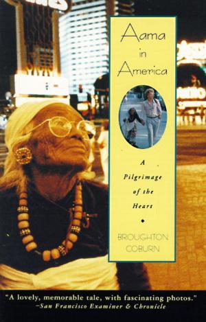 Cover of the book Aama in America by Howard M. Sachar