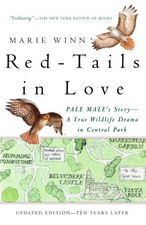 Cover of the book Red-Tails in Love by Ruth Rendell