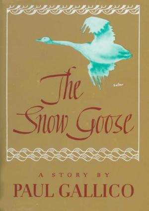 Cover of the book Snow Goose by Michael Herr
