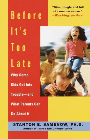Cover of the book Before It's Too Late by Ivan Bannowsky