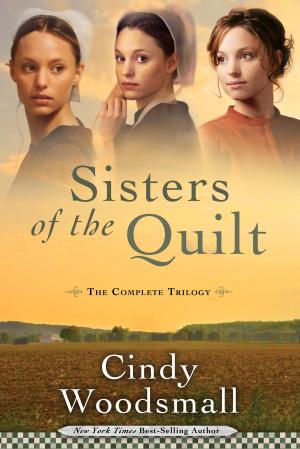 bigCover of the book Sisters of the Quilt by 