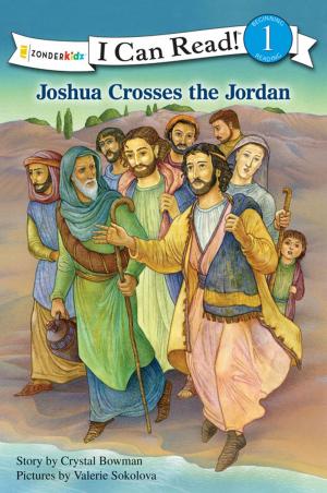 Book cover of Joshua Crosses the Jordan River