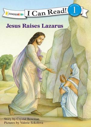 Cover of the book Jesus Raises Lazarus by Cindy Kenney