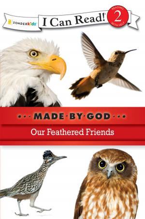 Cover of the book Our Feathered Friends by Karen Poth