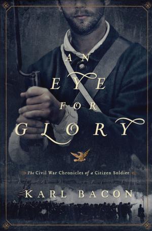 Book cover of An Eye for Glory