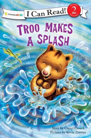 Cover of the book Troo Makes a Splash by Robin Schmitt