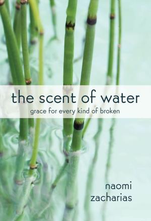 Cover of the book The Scent of Water by Rachel Coker