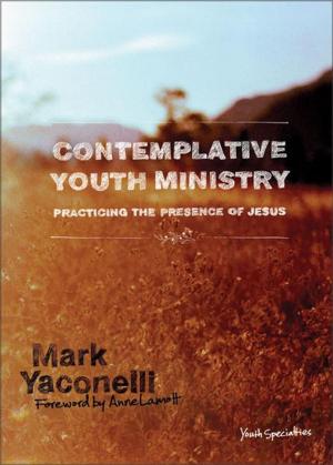 Cover of the book Contemplative Youth Ministry by Stefan Antony Salinas