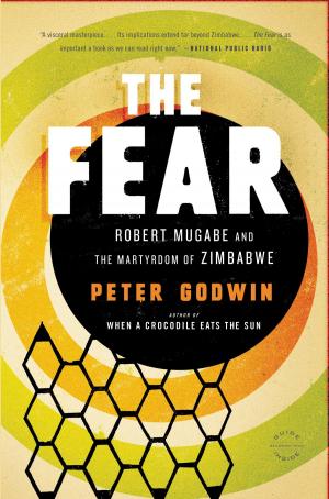 Book cover of The Fear