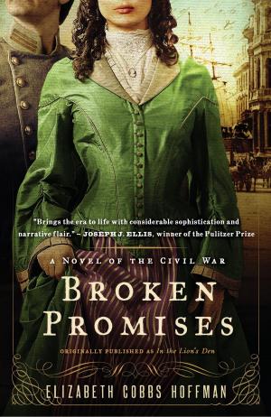 Cover of the book Broken Promises by Terry Brooks