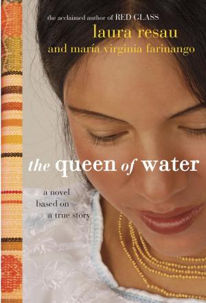 Cover of the book The Queen of Water by Siobhan Dowd