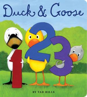 Cover of the book Duck & Goose, 1, 2, 3 by Miranda Jones