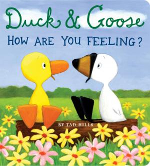 Cover of the book Duck & Goose, How Are You Feeling? by Emily Arnold McCully